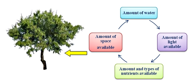 Adaptive features of animals in mountains